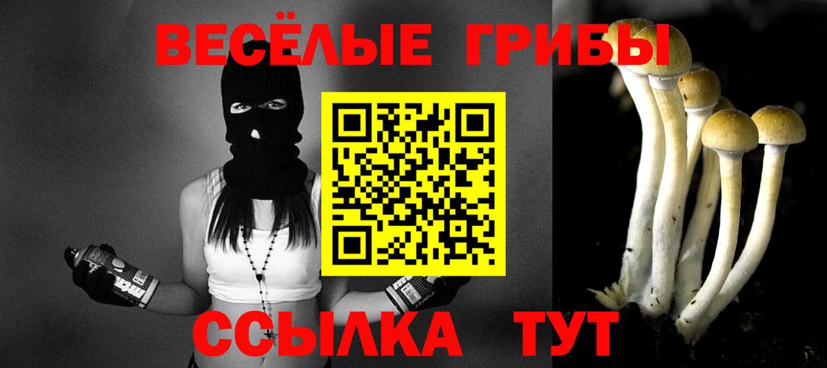 Псилоцибиновые грибы мицелий  Галлюциногенные грибы мухоморы  Лыткарино  Вход с VPN 
